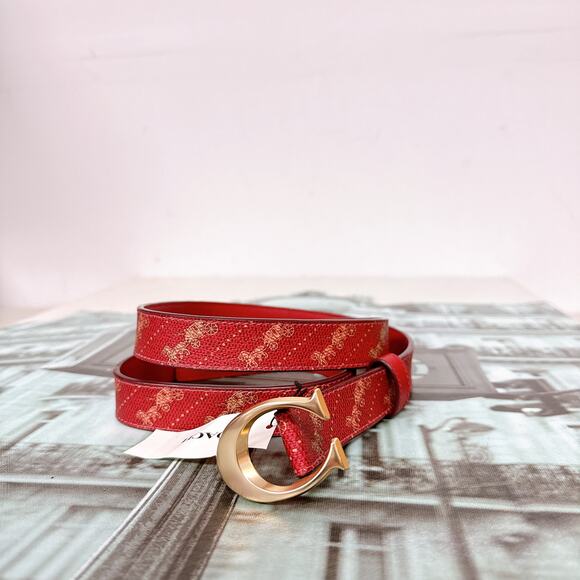 Coach C7121 Signature Buckle Belt With Horse And Carriage Print, 25 MM Size